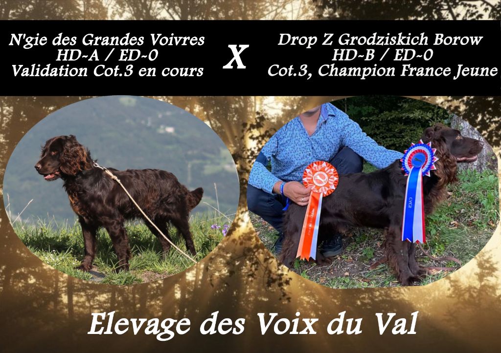 Des Voix Du Val - Saillie 2022