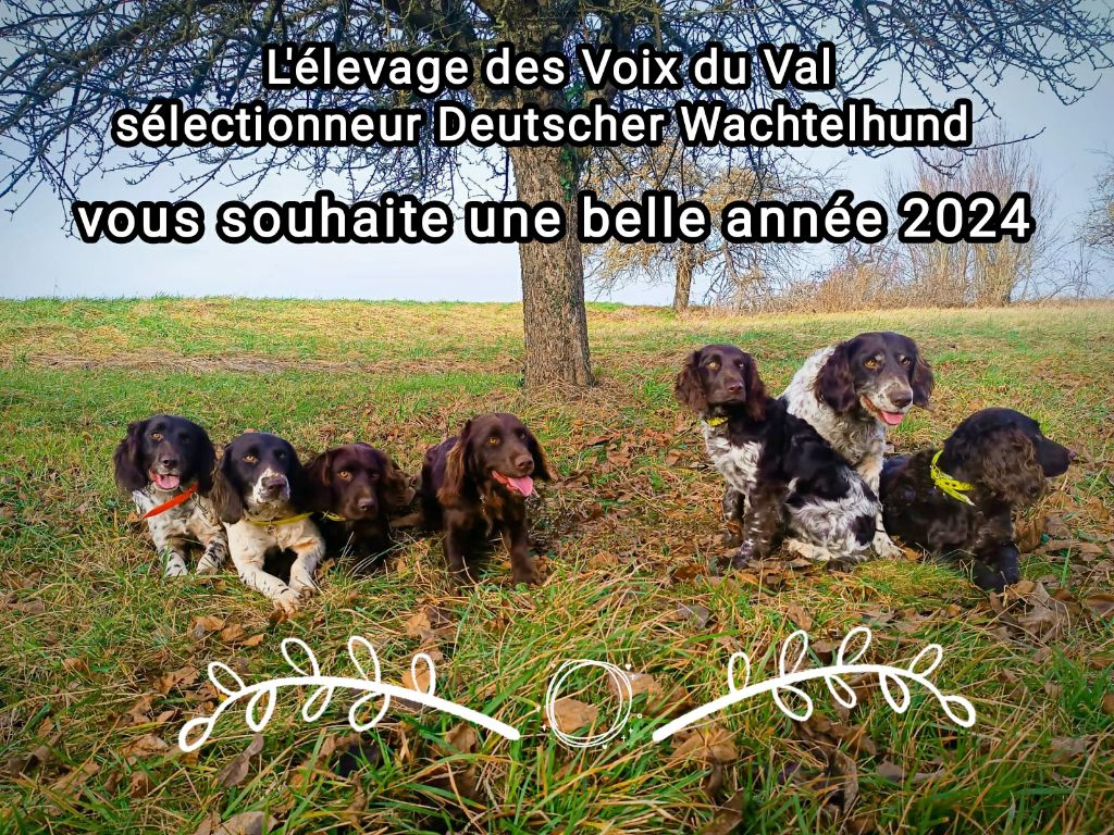 Des Voix Du Val - Meilleurs Voeux pour cette nouvelle année 