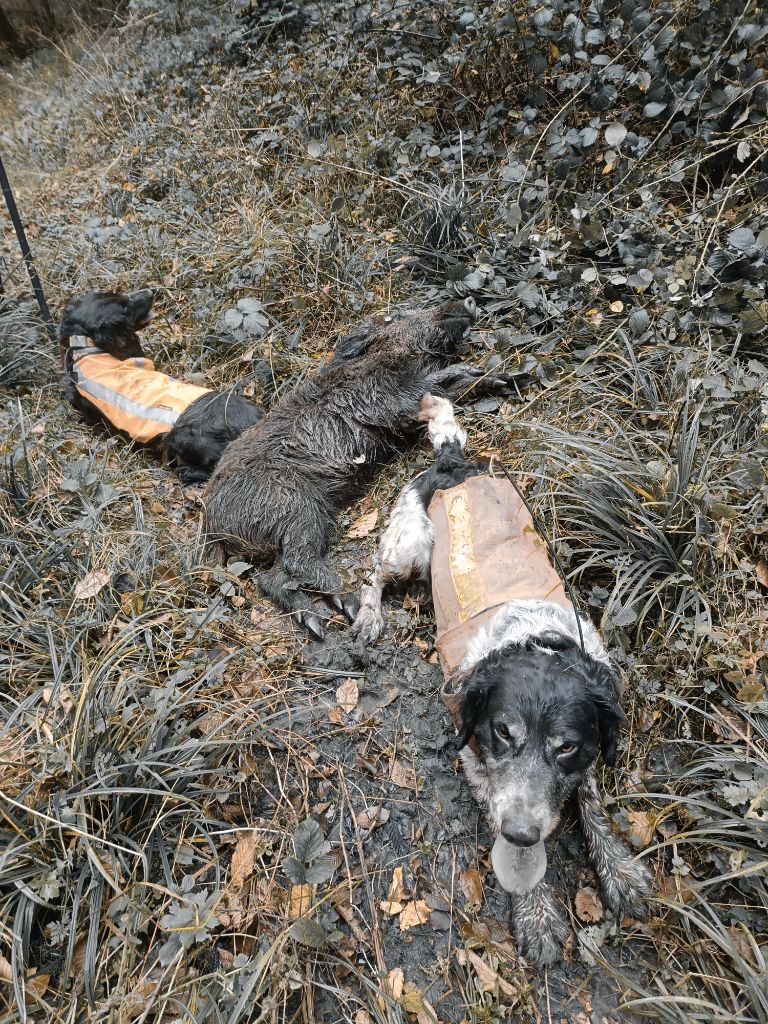Des Voix Du Val - Dernière chasse 2024
